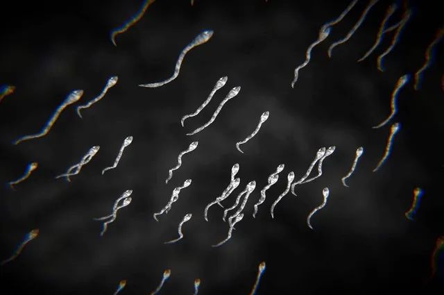 首个男用避孕药来了?“100%有效”