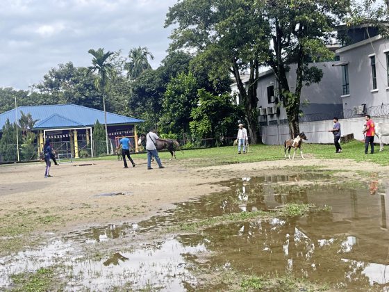 马主疑虐待!一家三口瘦骨嶙峋,街头垃圾堆觅食