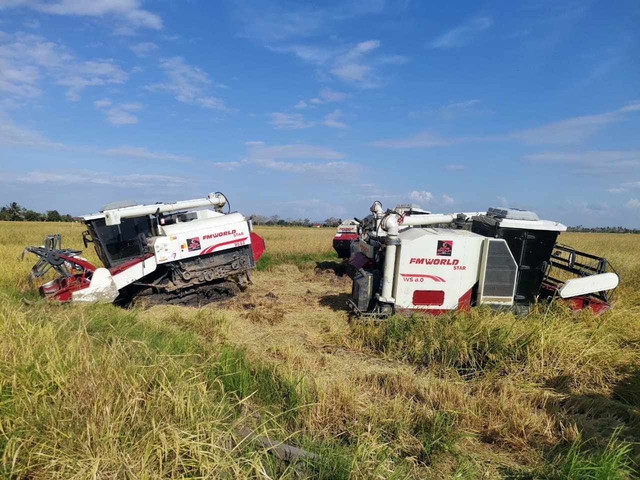 (全国版)稻田罕见意外,割稻机卡泥沼,动用另一辆割稻机助拉车,铁钩扯断卷链致男子割喉死
