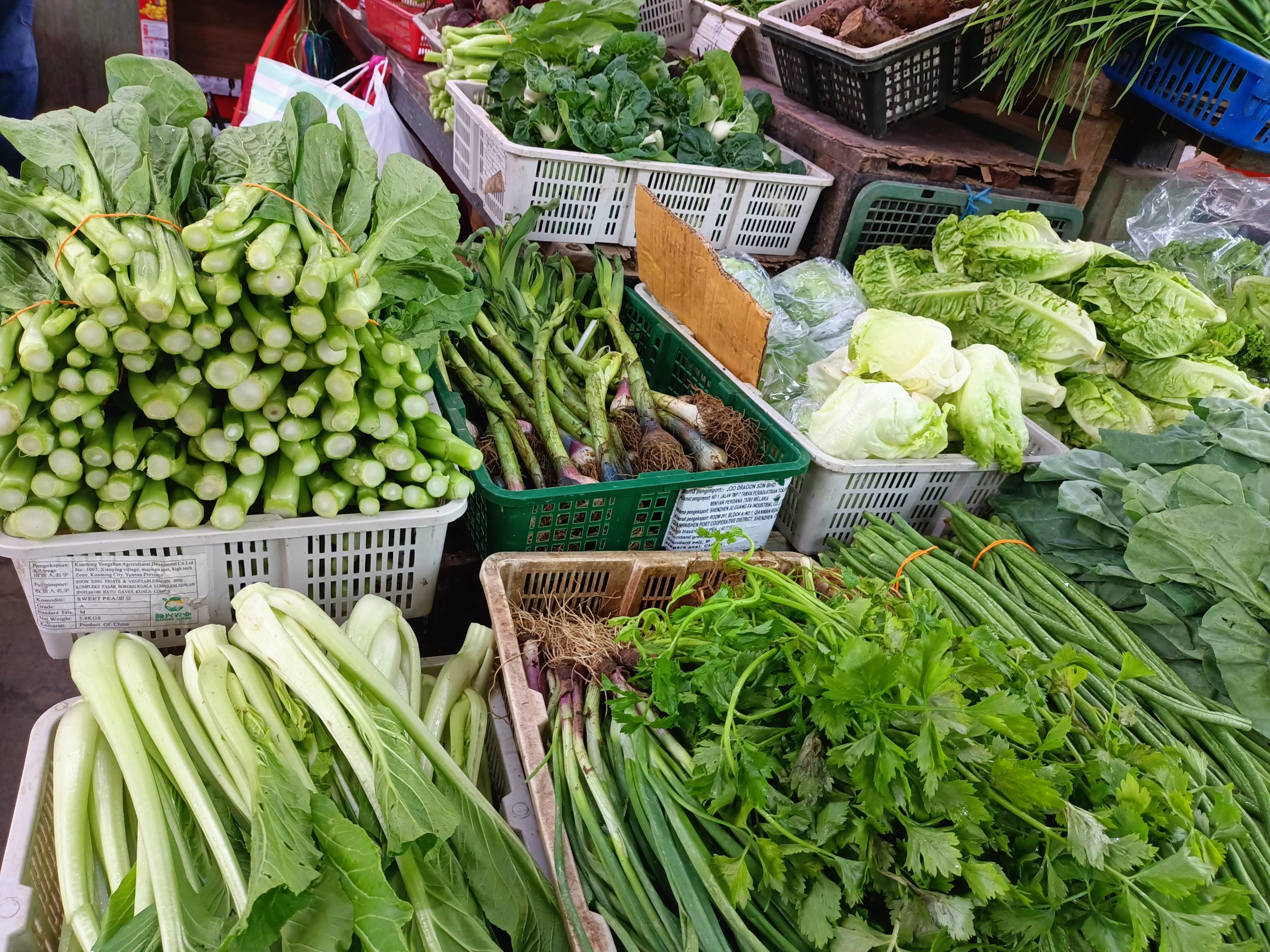 (古城封面主文)新年后蔬菜价格稳定