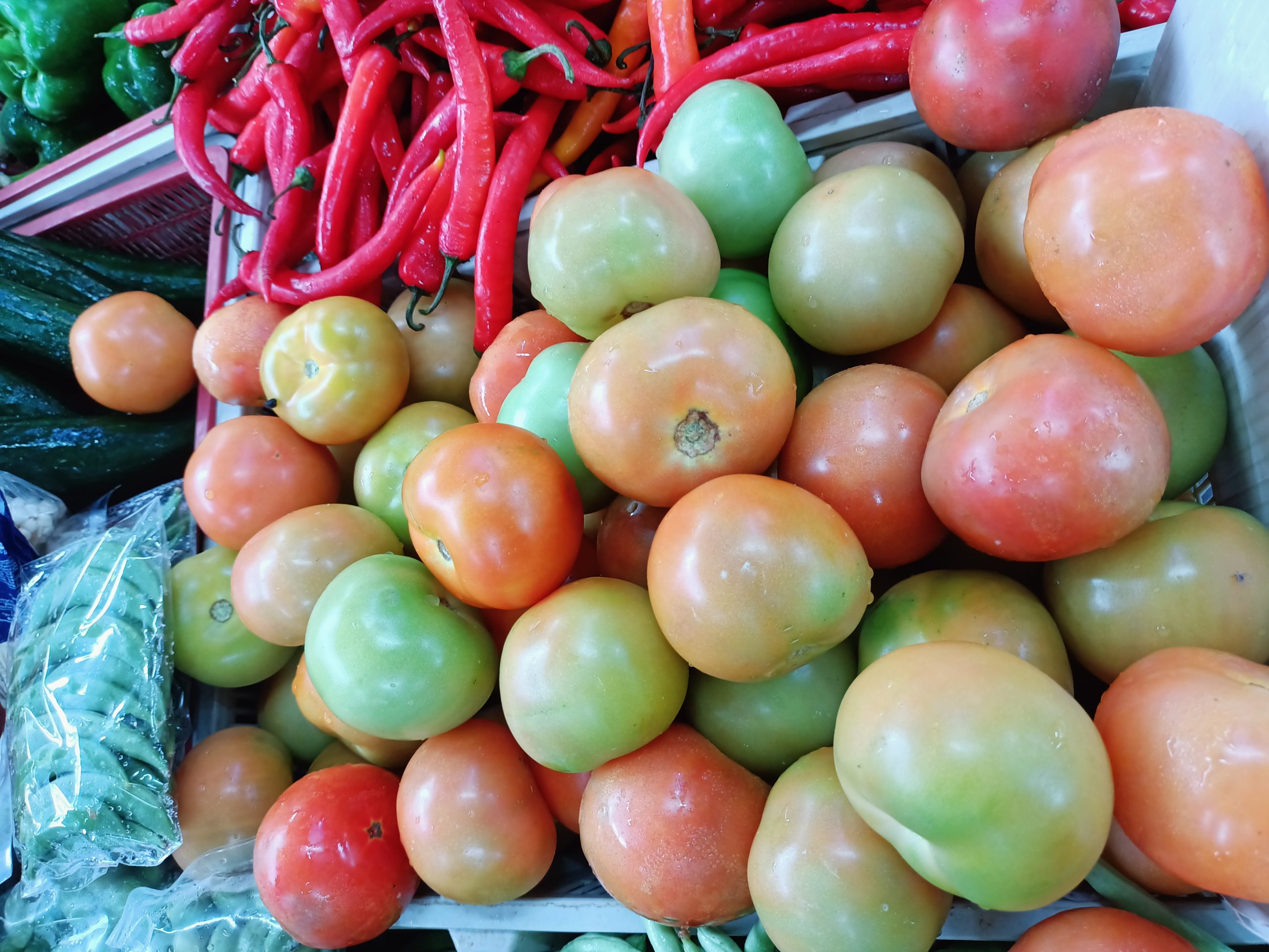 (古城封面主文)新年后蔬菜价格稳定