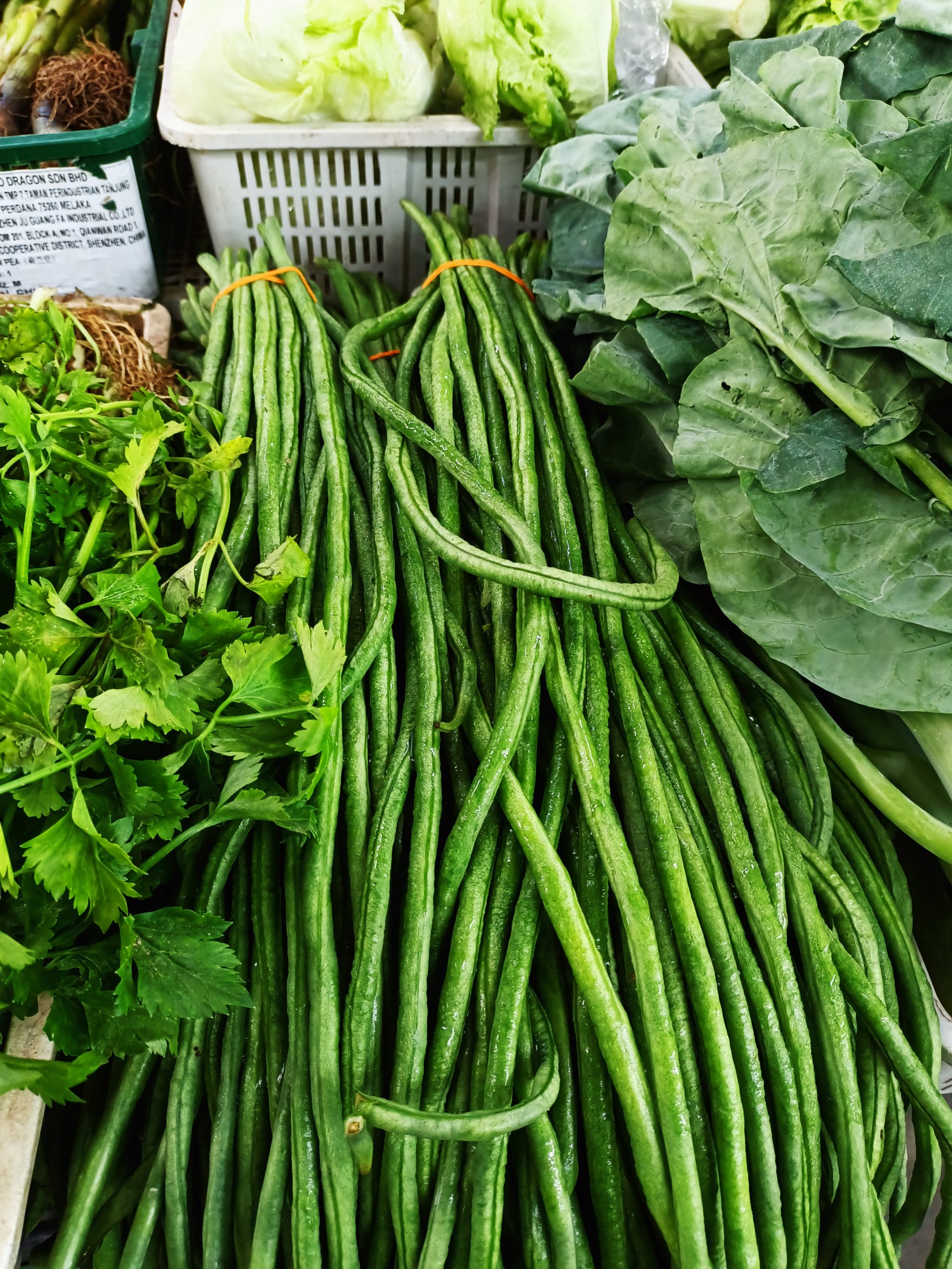 (古城封面主文)新年后蔬菜价格稳定