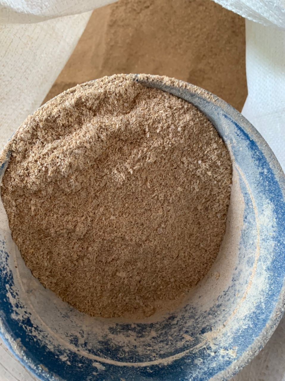 （古城封面主文）气候影响菇产量下滑约70% 鲍鱼菇市场供不应求