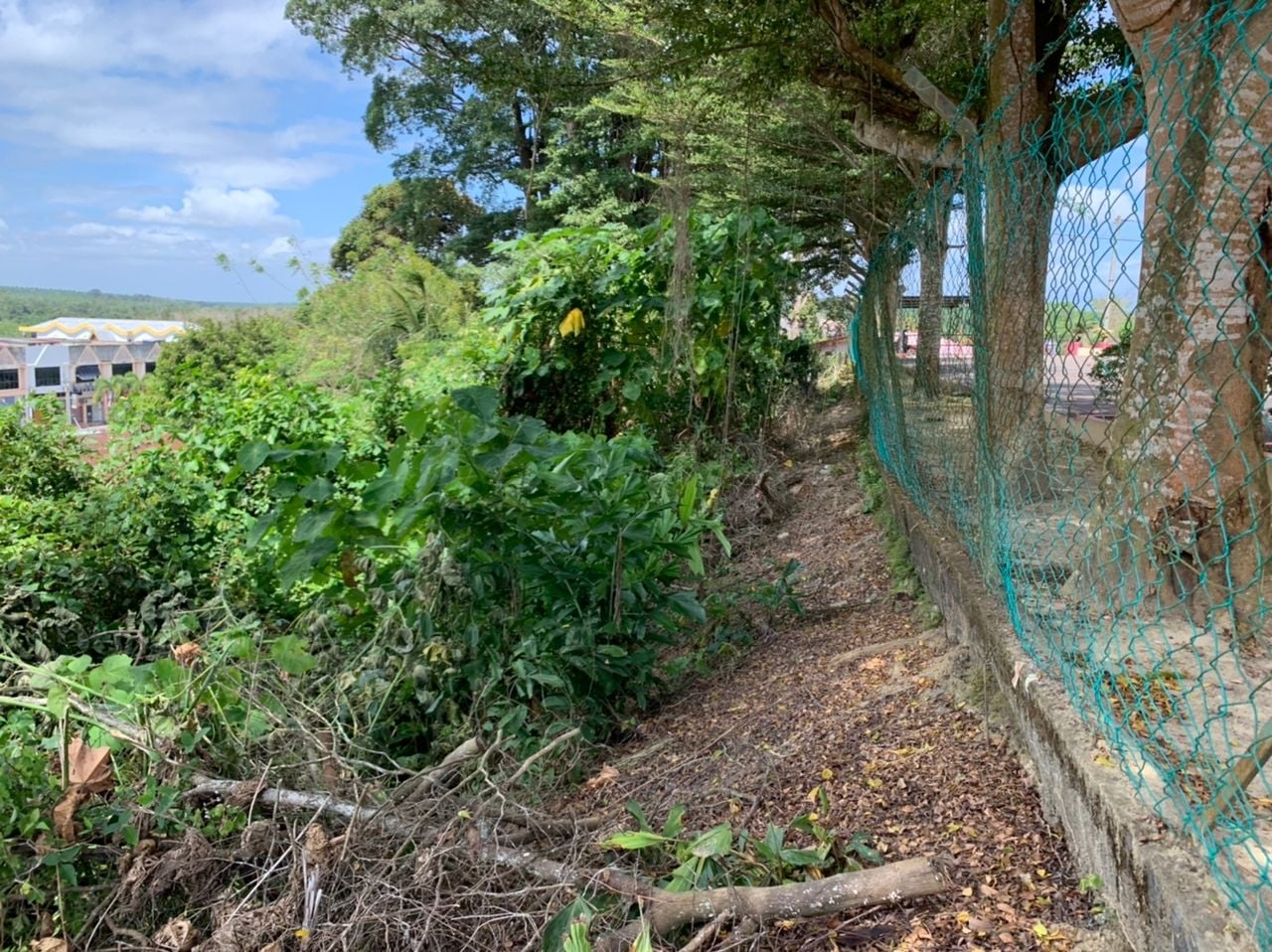 （古城封面主文）野新育贤泥土流失 董家协促教育部关注