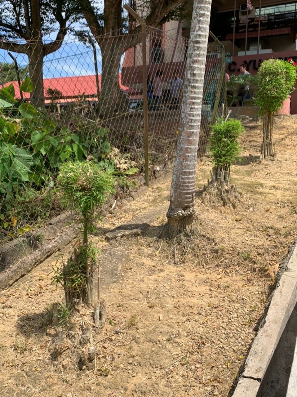 （古城封面主文）野新育贤泥土流失 董家协促教育部关注