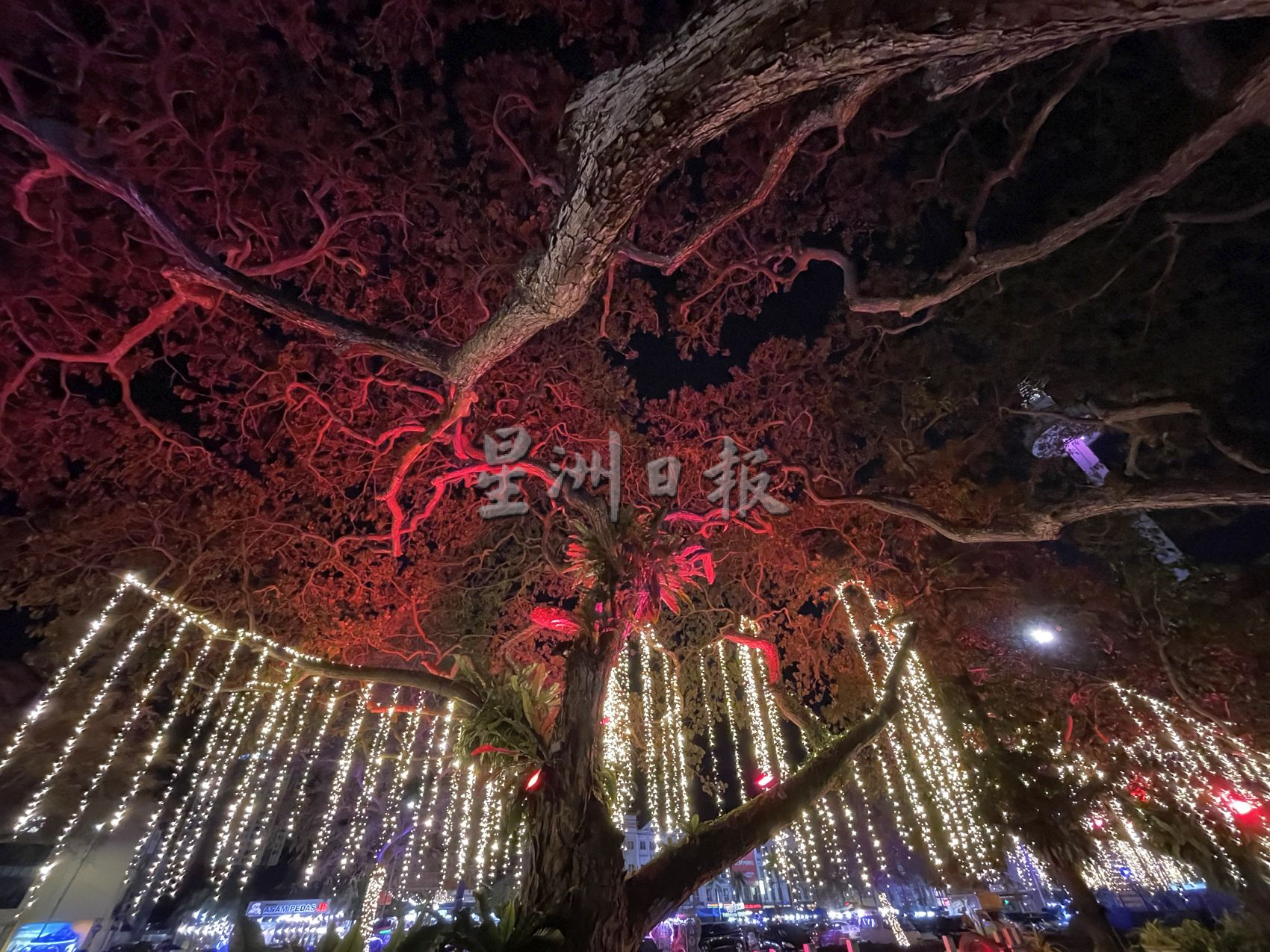 (古城第二版主文)古迹区化身魔幻城市花园·吸引游客欲罢不能