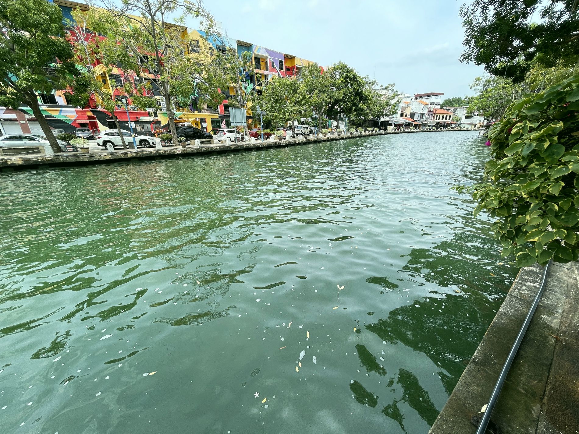 （古城第二版主文）绿油油的甲河！