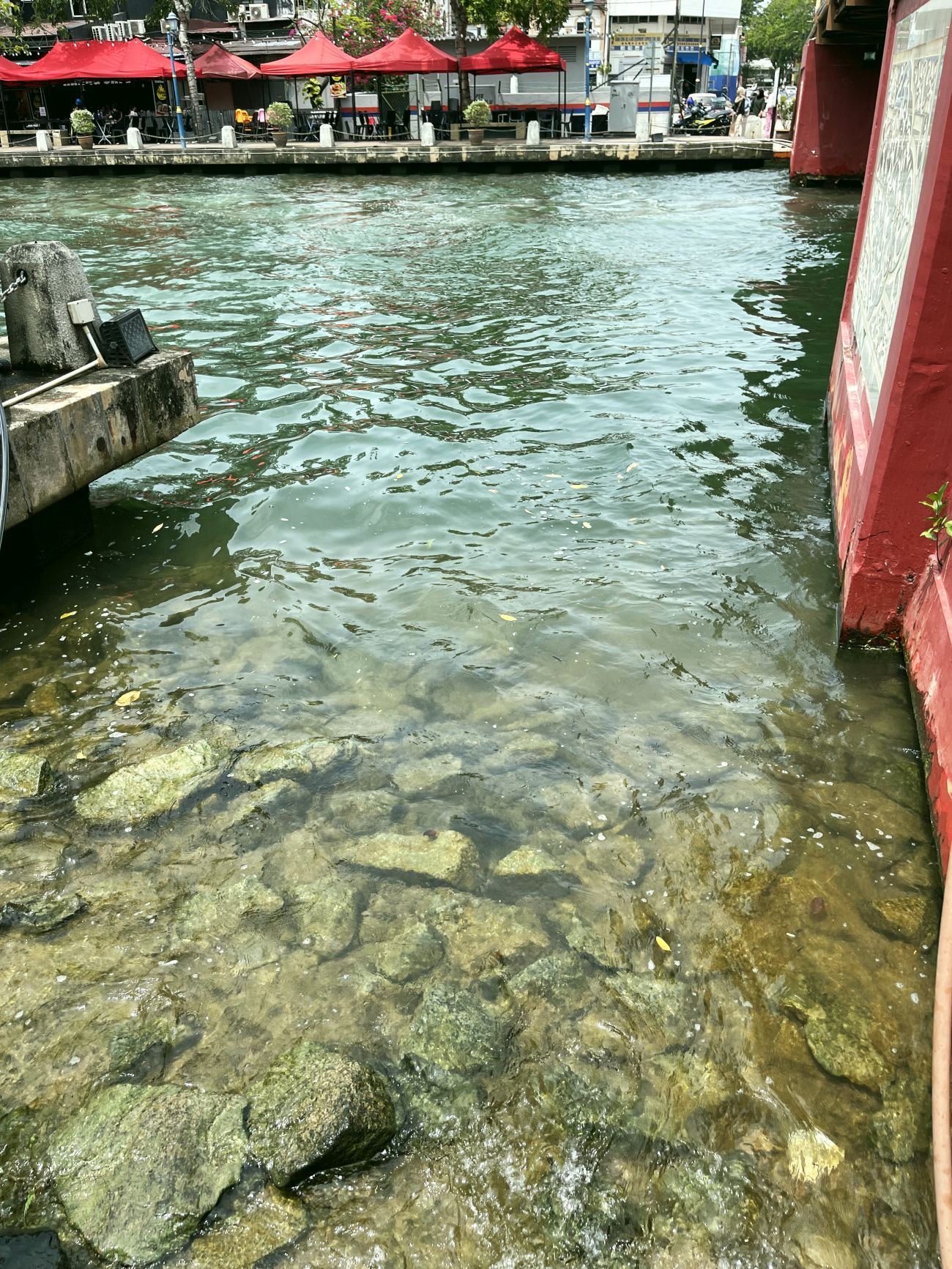 （古城第二版主文）绿油油的甲河！