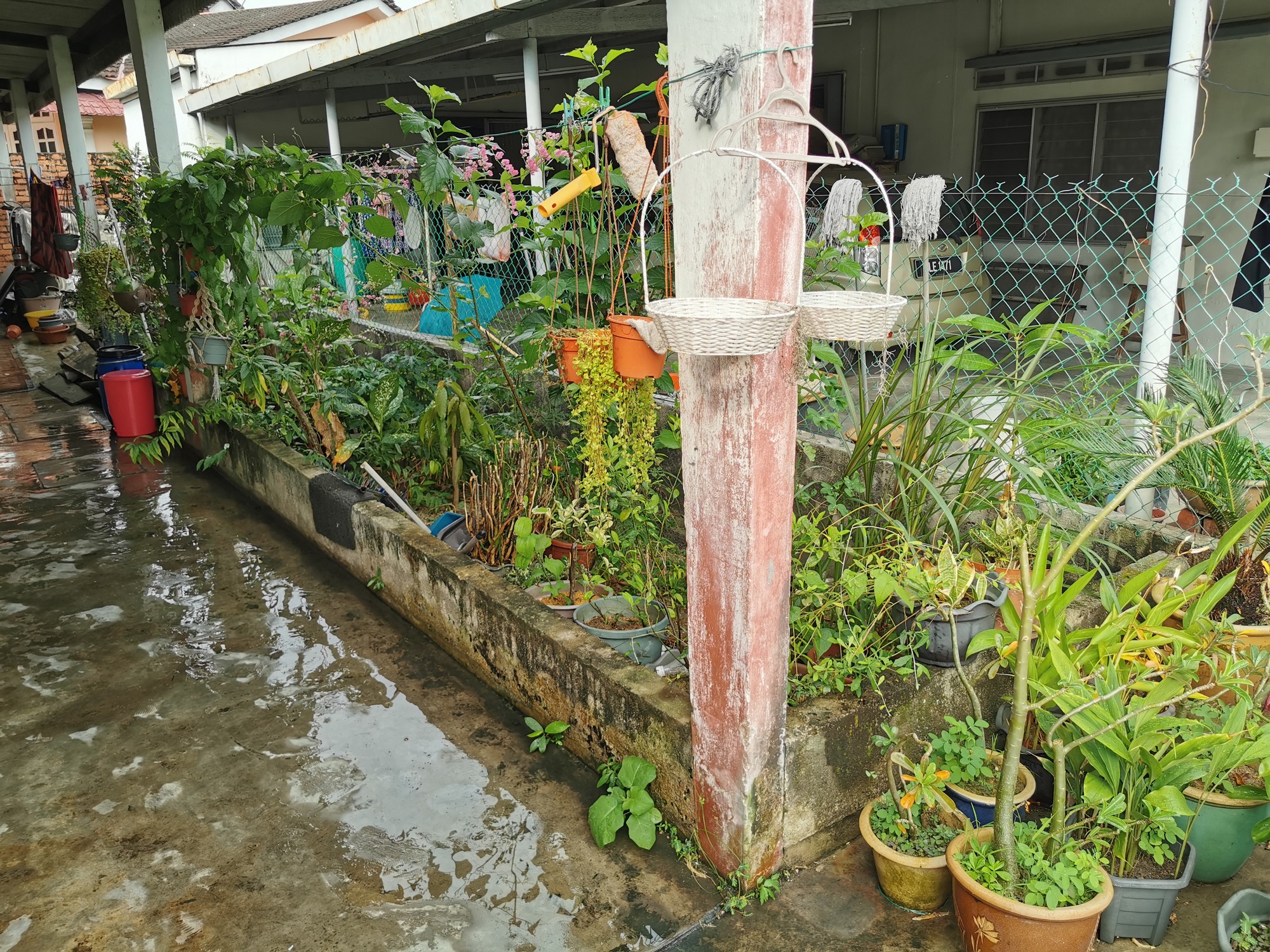民生特工队:民宅旁狭小水沟年久失修,1年4次闪电水灾居民叫苦