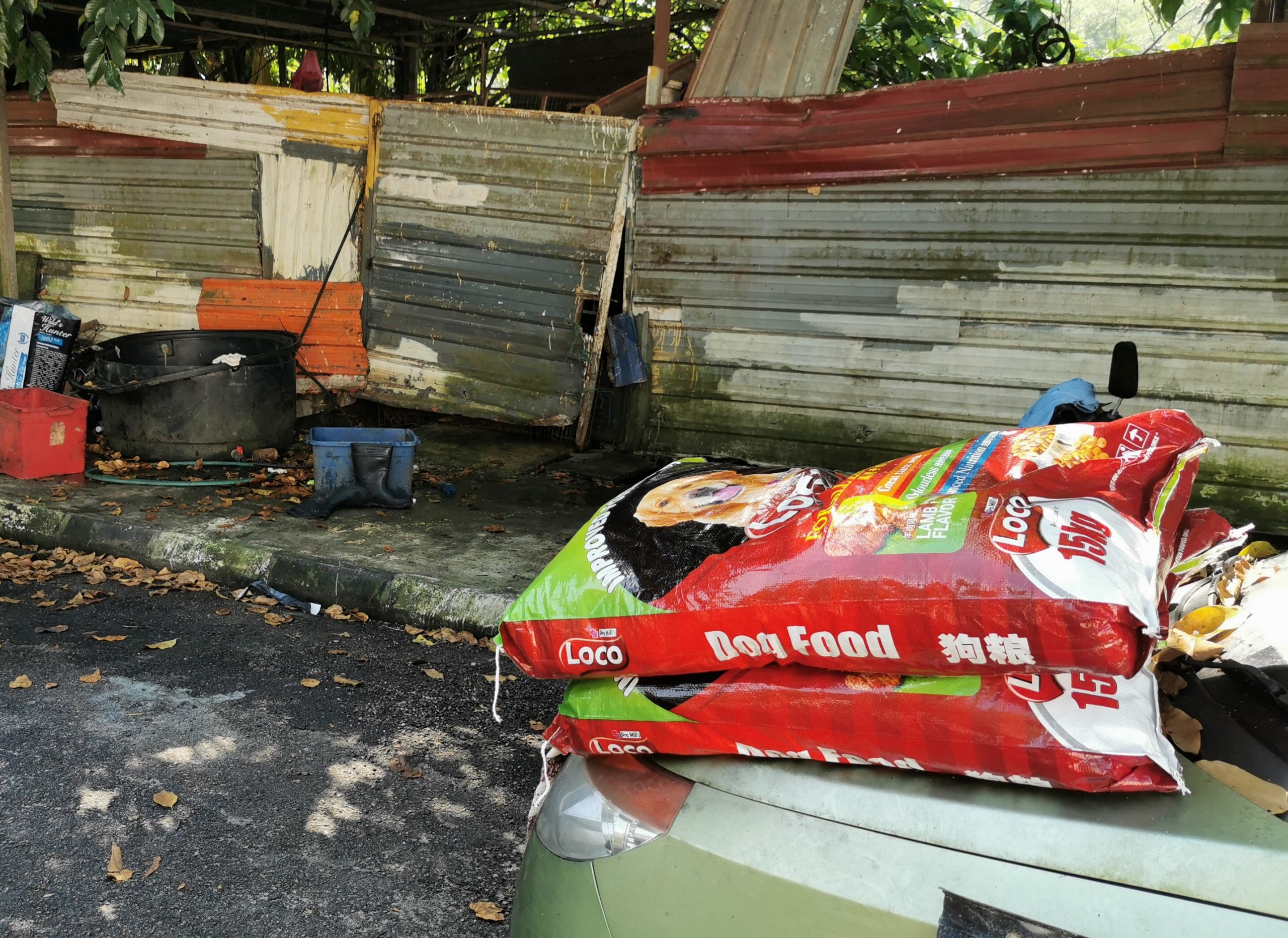  （大北马）“炼狱狗场”营救约百只狗