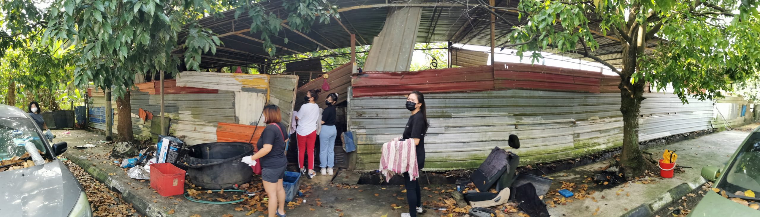  （大北马）“炼狱狗场”营救约百只狗