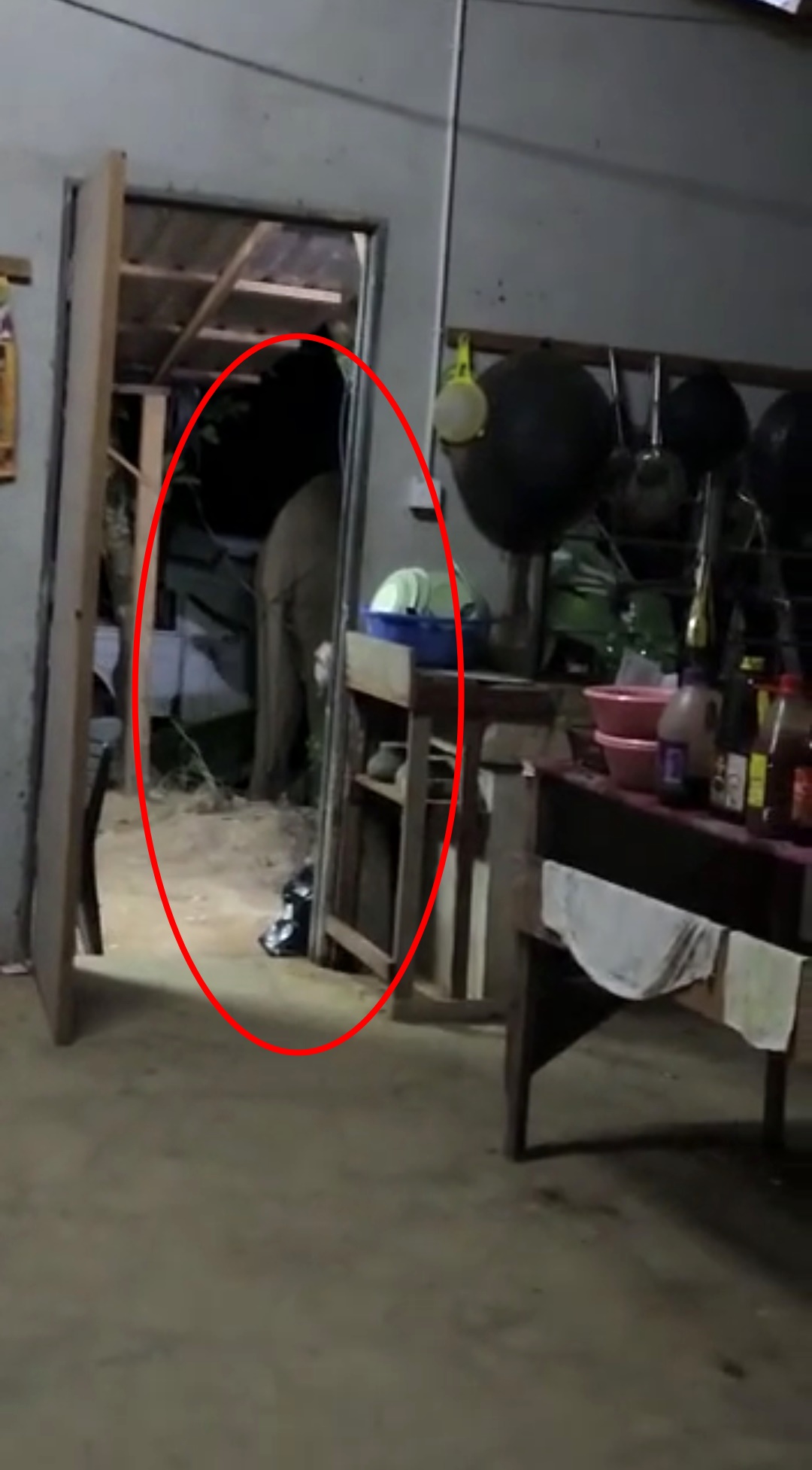 野象“拖家带口”闯民宅范围觅食,吓坏村民!