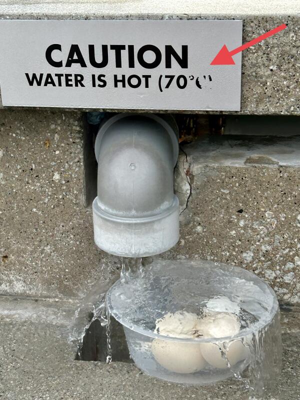 (已签发)柔:狮城二三事:三巴旺温泉公园 阿嫂温泉煮蛋区洗头泡桑拿被批不卫生