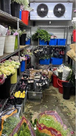 (已签发)柔:狮城二三事:成本涨鲜花不贵卖 业者拼情人节市场