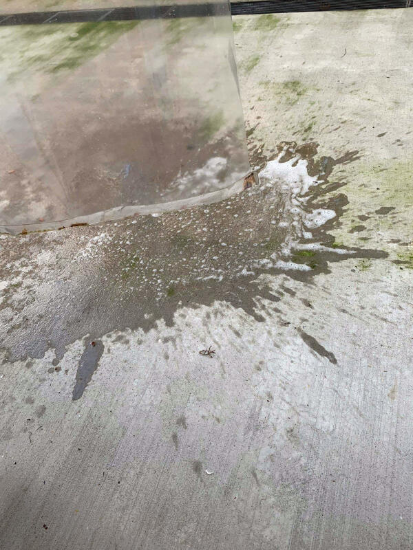 (已签发)柔:狮城二三事:狮城组屋弥漫尿骚味 居民联手齐‘缉凶’大巴窑‘拍到了’