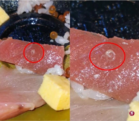 (已签发)柔:狮城二三事:生鱼片惊现寄生虫,Donki:不罕见会尽力清除
