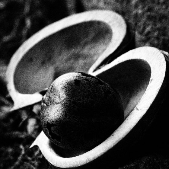 Kim Teoh/忧郁的黑白照