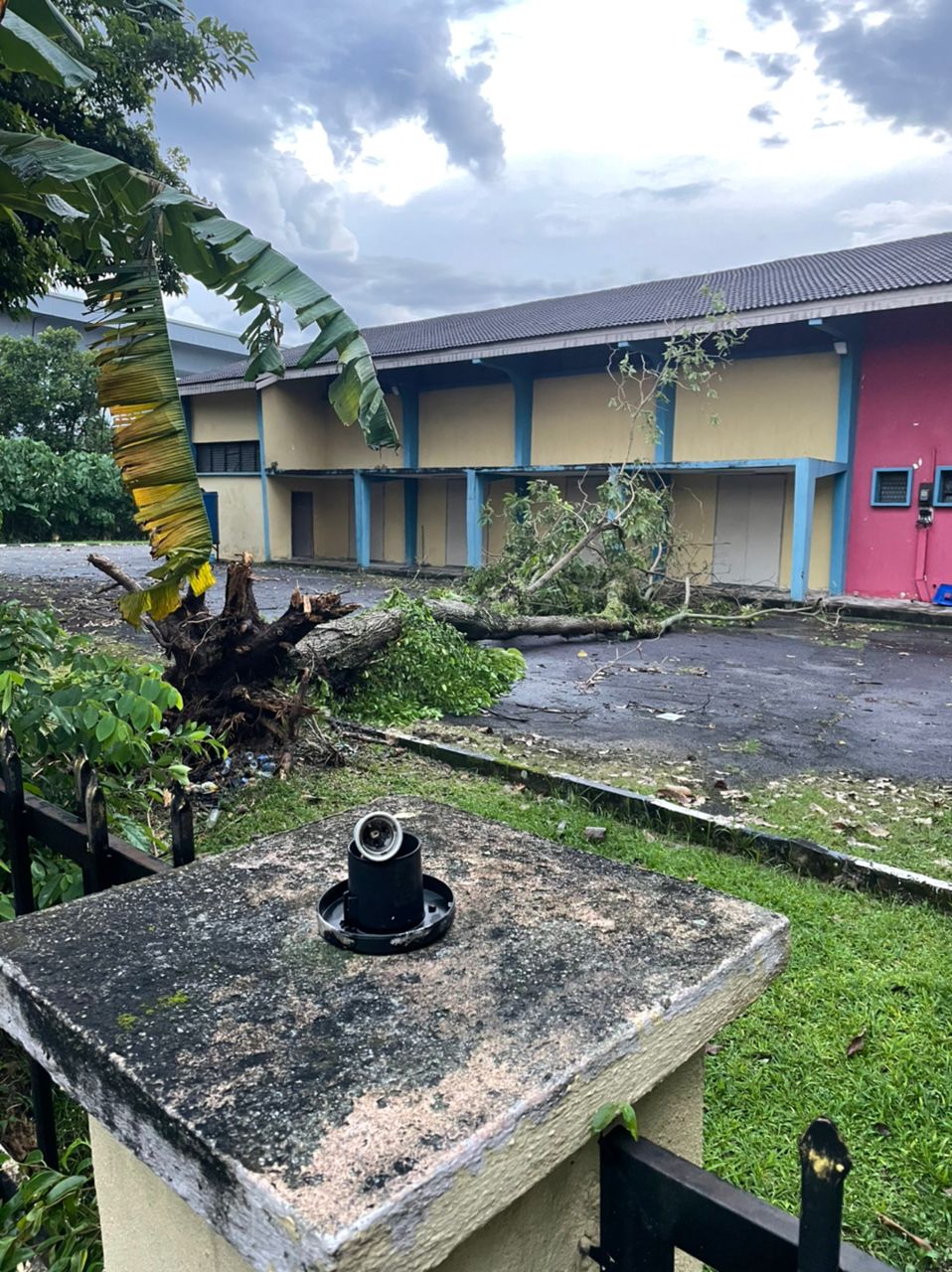 me03主文-大都会/蕉赖十一哩新村民众会堂丢空3年,脏乱,摇摇欲坠的大树成为计时炸弹