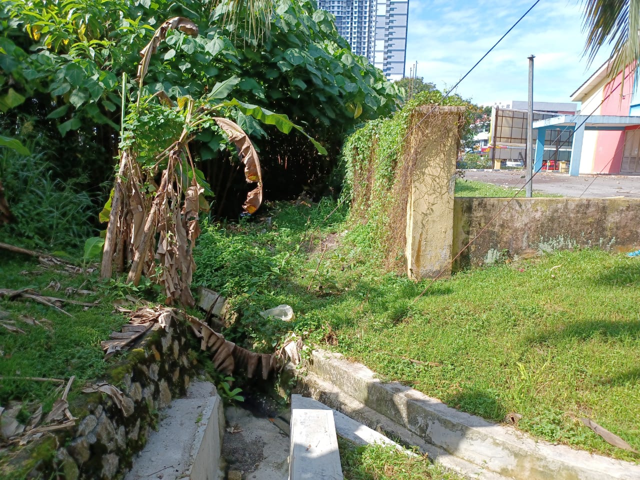 me03主文-大都会/蕉赖十一哩新村民众会堂丢空3年,脏乱,摇摇欲坠的大树成为计时炸弹