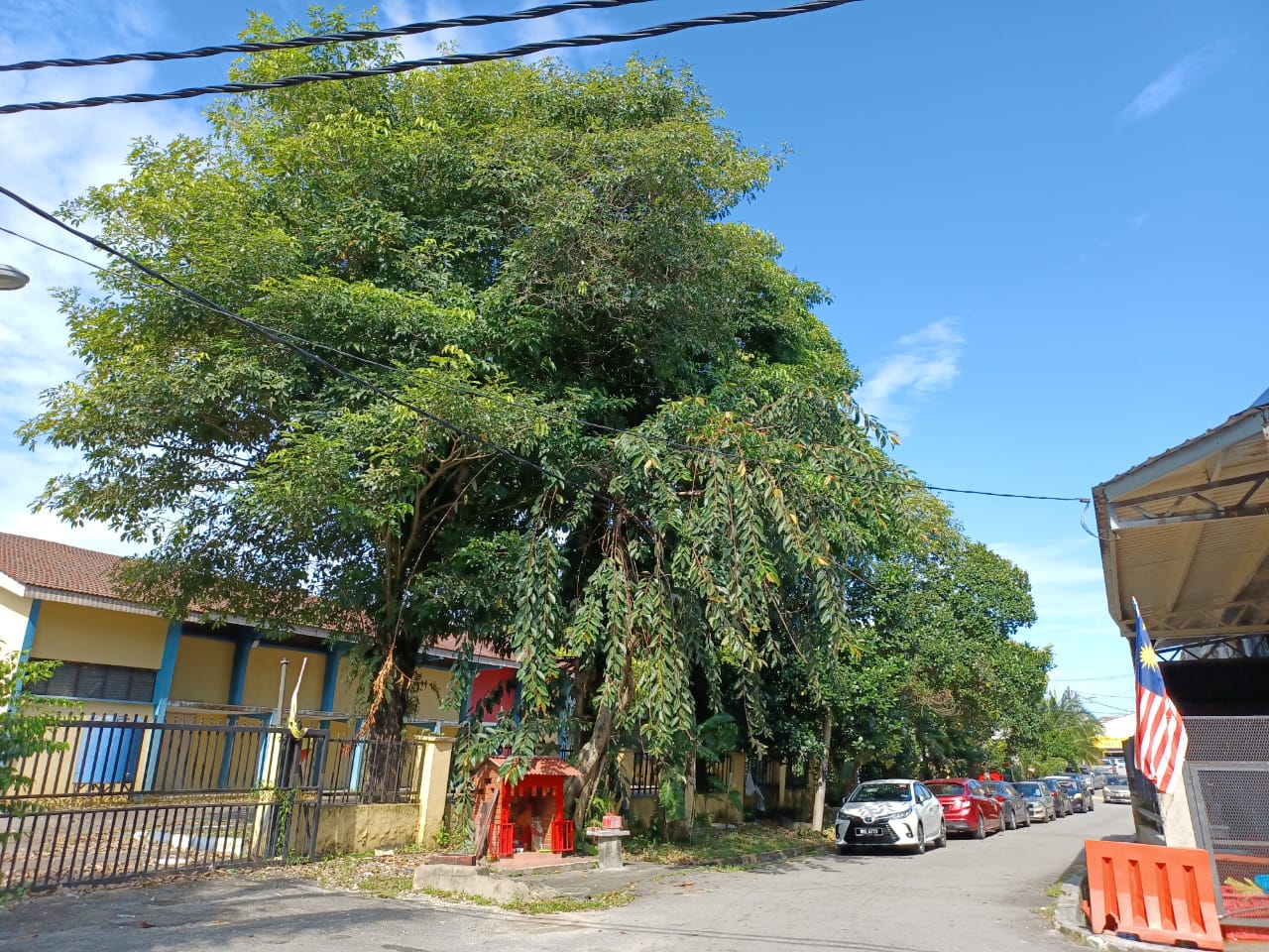 me03主文-大都会/蕉赖十一哩新村民众会堂丢空3年,脏乱,摇摇欲坠的大树成为计时炸弹