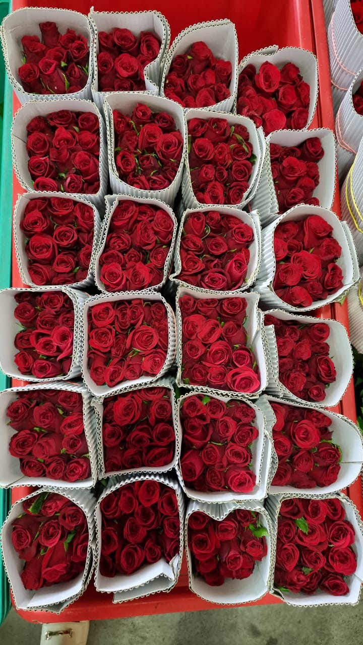 NS 芙蓉：或因经济不景气 | 花商：情人节花束订购慢热