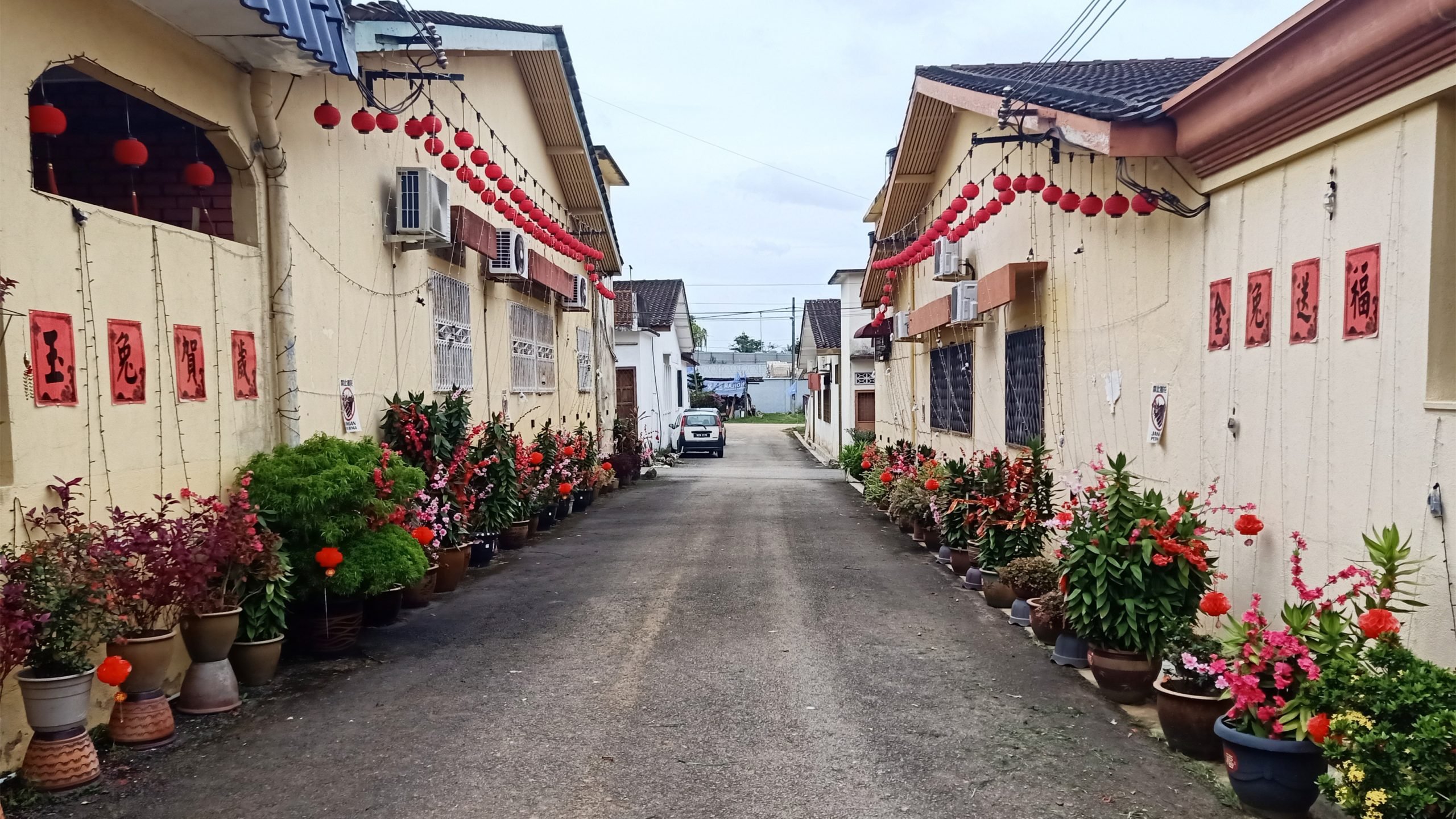 NS庇朥/ 庇朥美浪花园2户家庭今年继续为自家墙壁布置,浓厚新年气氛。