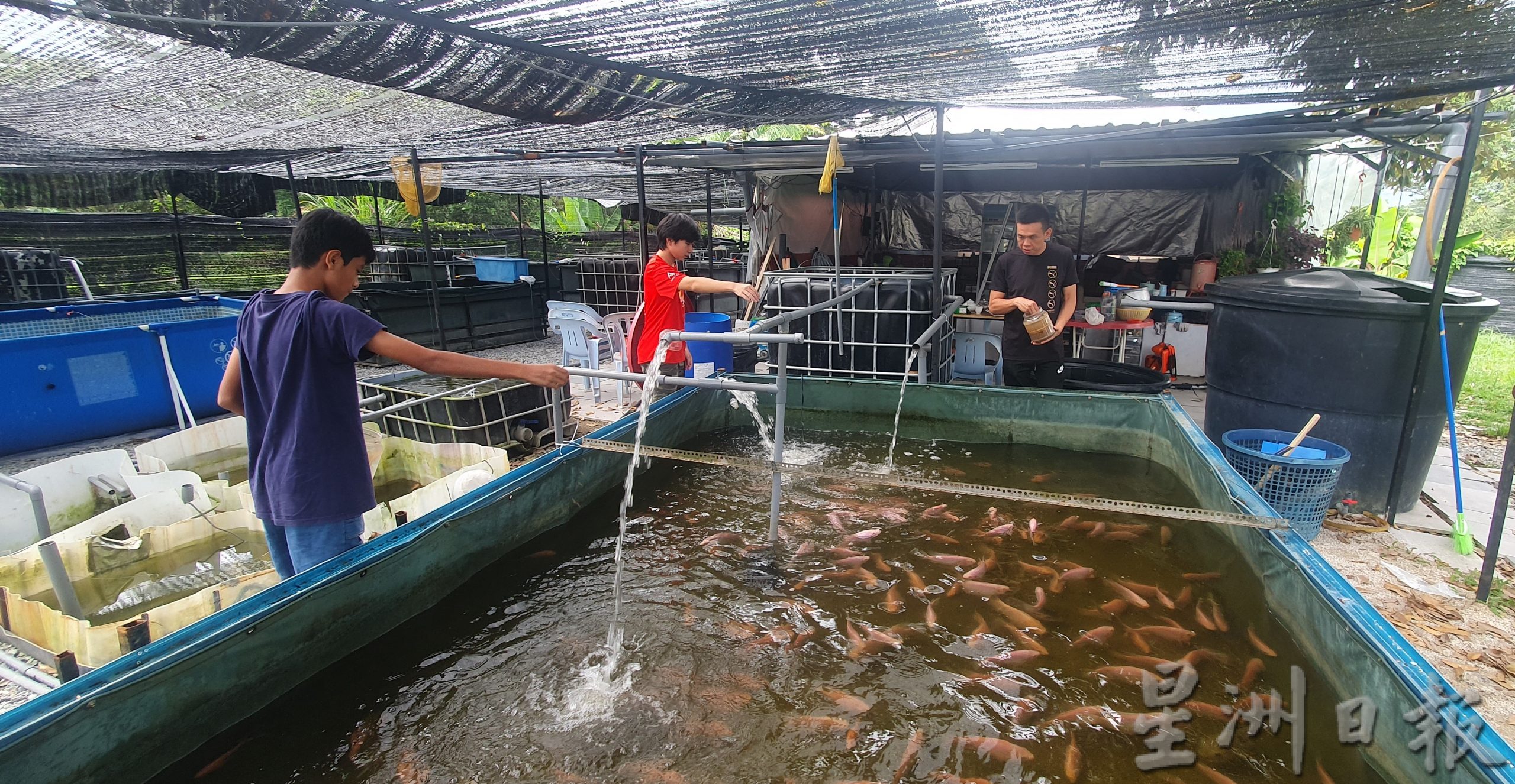 学校管不到、家长管不了，“边青中心”收留“问题少年”将孩子导入正轨