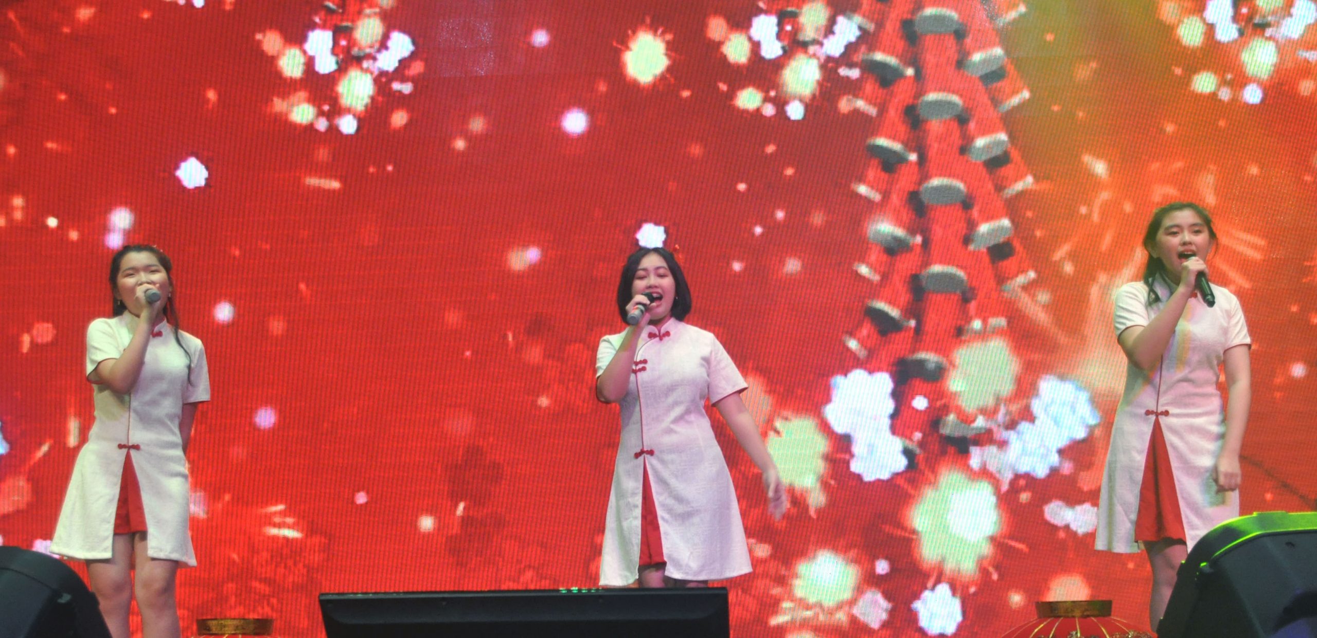 NS芙蓉/本报活动:“欢乐新春演唱会”15名歌手轮流献唱,号召群众为华教献力