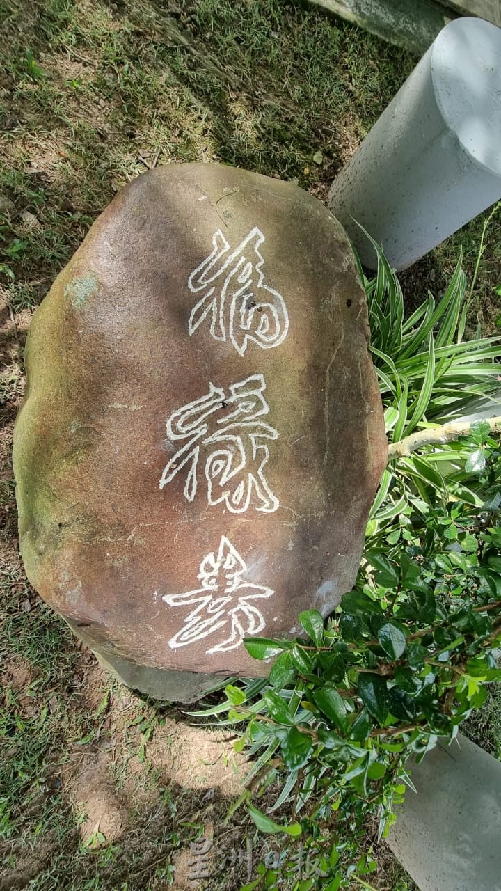 ns芙蓉:83岁老伯以汽车补土打造“万里长城”、仙鹤,布置住宅区小空地