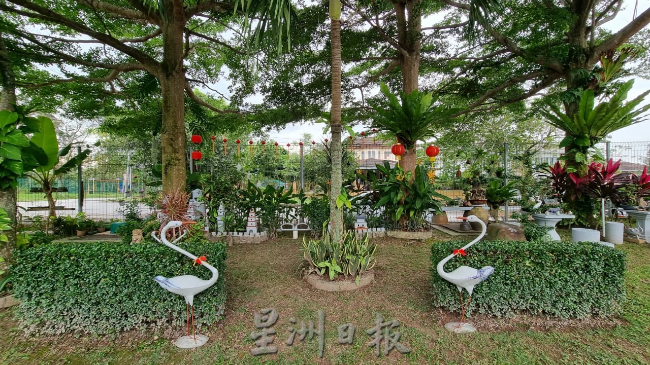 ns芙蓉:83岁老伯以汽车补土打造“万里长城”、仙鹤,布置住宅区小空地