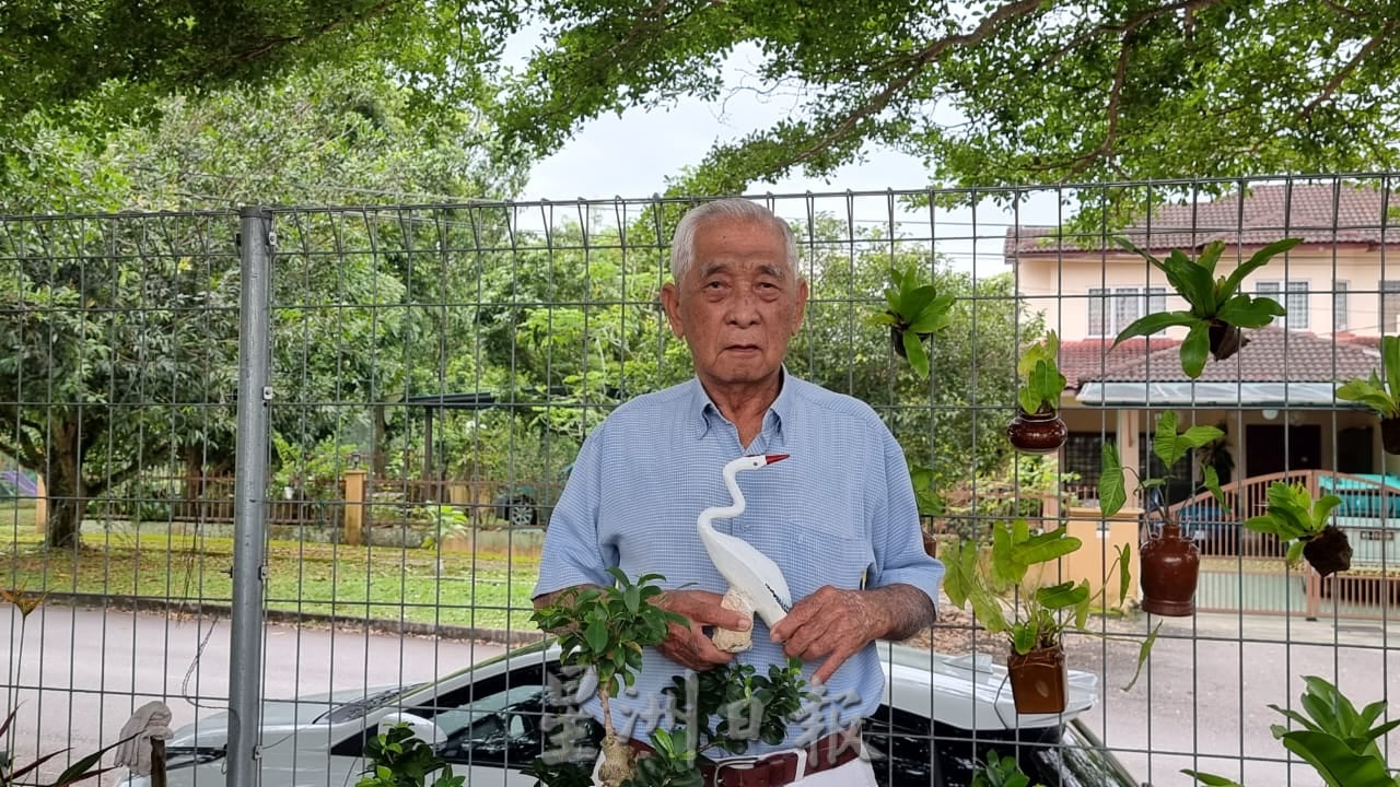 ns芙蓉:83岁老伯以汽车补土打造“万里长城”、仙鹤,布置住宅区小空地