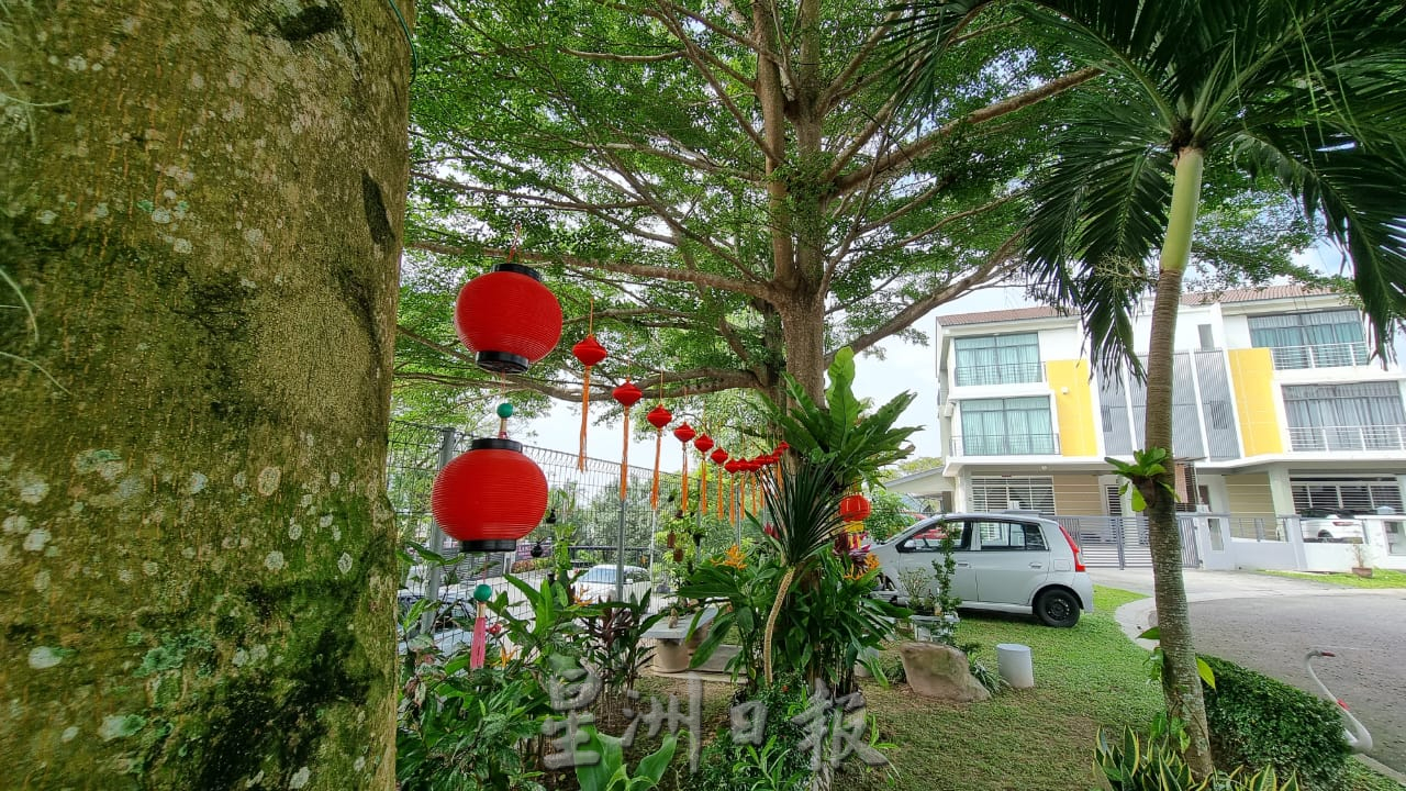 ns芙蓉:83岁老伯以汽车补土打造“万里长城”、仙鹤,布置住宅区小空地