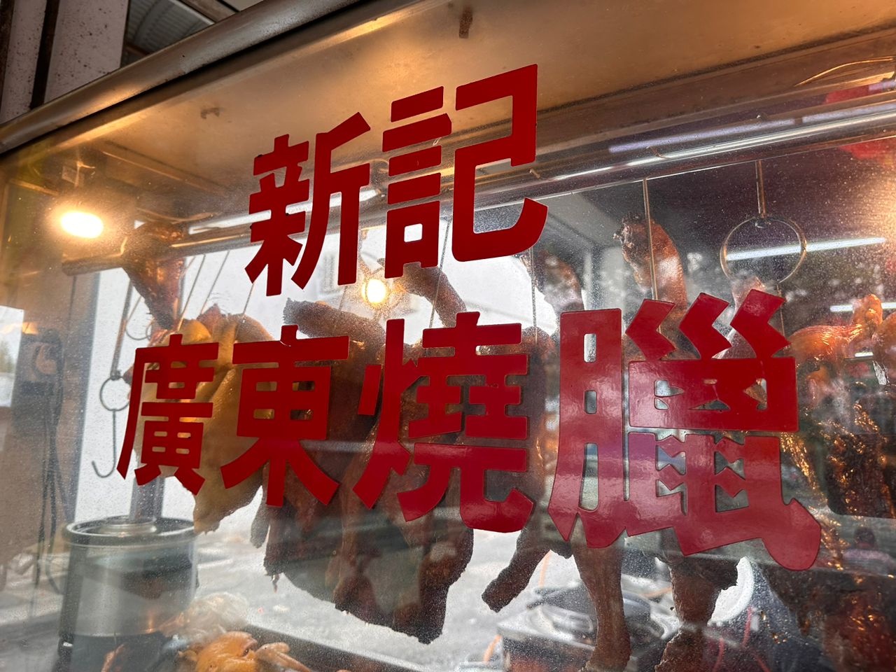 24日见报//大都会-专栏：马拉妹出闸