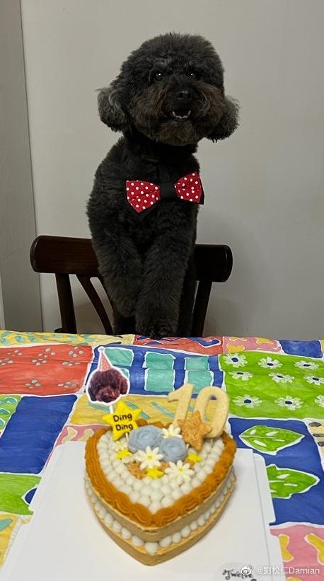 73岁刘松仁日渐消瘦  粉丝忧心健康