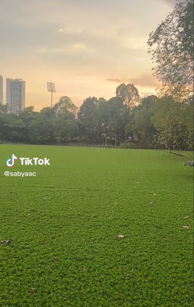 “这不是足球场或草地” 网:踩下去可丢命!