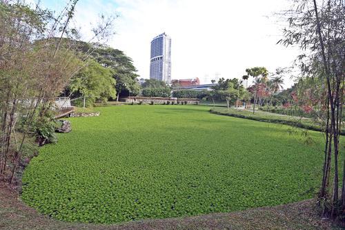 “这不是足球场或草地” 网:踩下去可丢命!