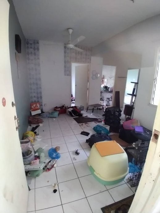 “魔鬼”租客 没缴纳房租中途逃走 屋子像垃圾房