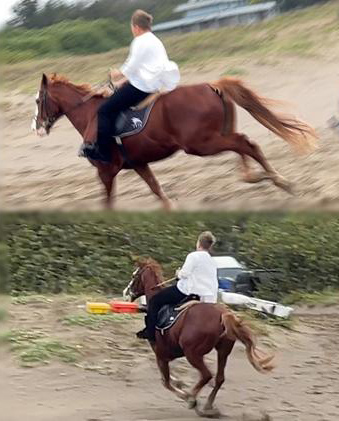 《神雕侠侣》杨过合体 任贤齐李铭顺过招