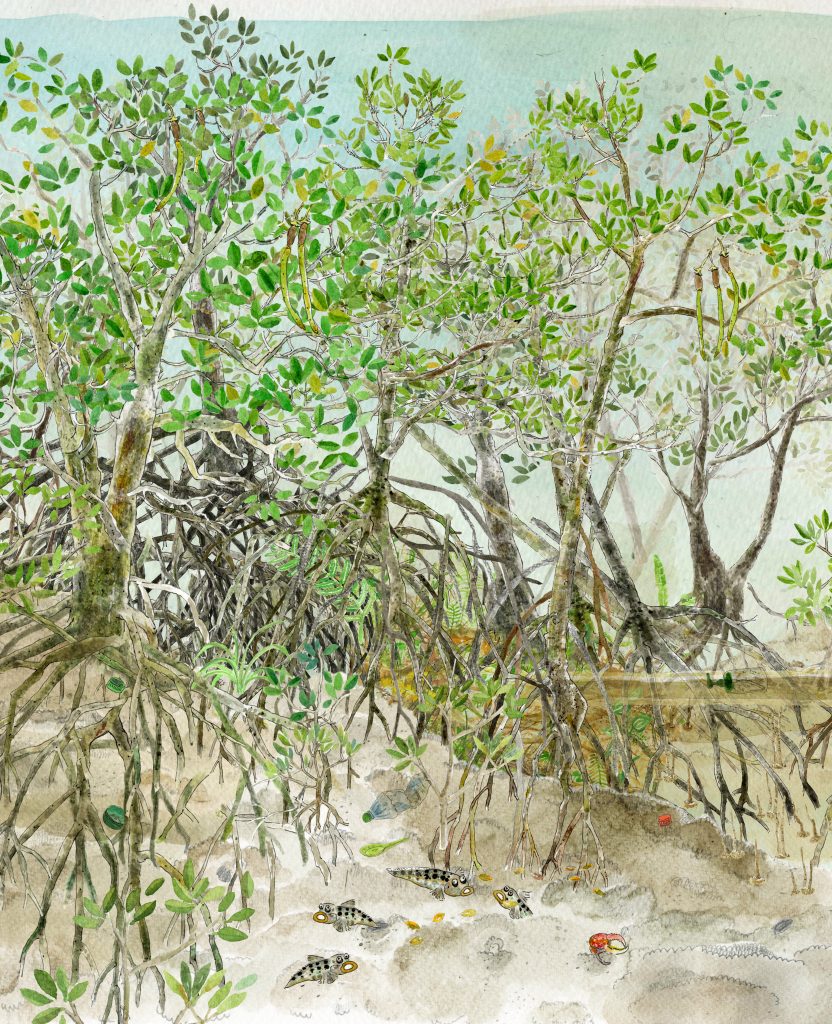 【写生集】NOvia／红树林沼泽