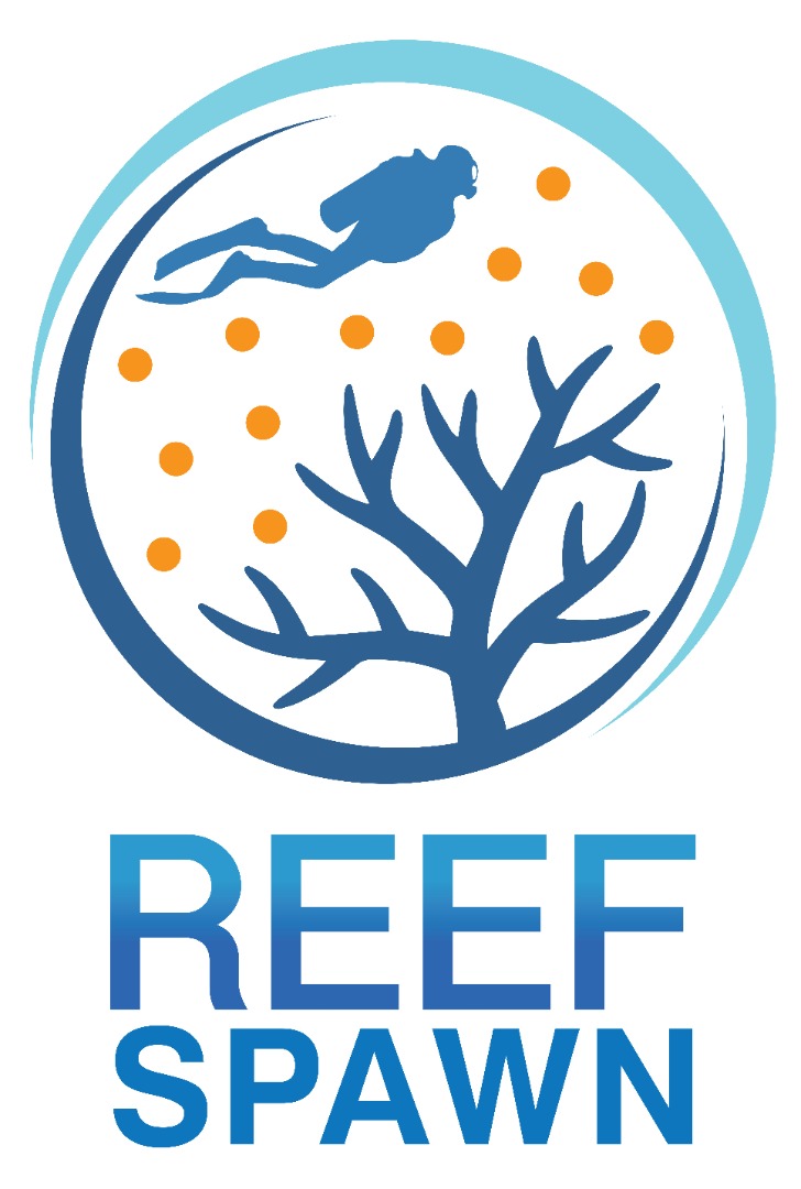 【写生集】NOvia／红树林沼泽