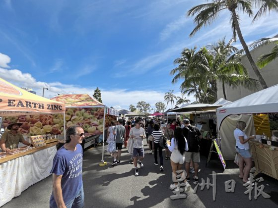 【澳洲黄金海岸】到黄金海岸内陆徒步探险，发掘雨林的秘境