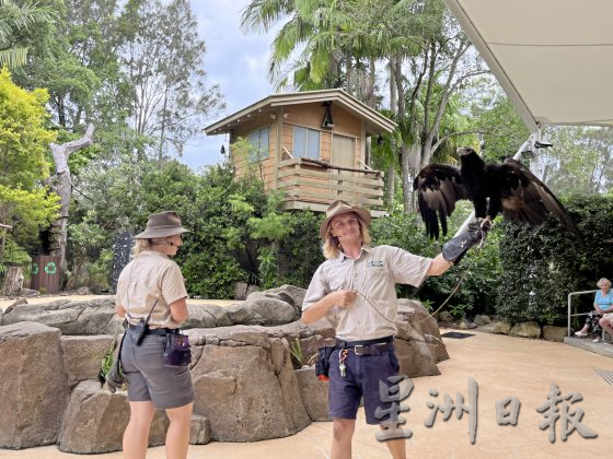 【澳洲黄金海岸】到黄金海岸内陆徒步探险，发掘雨林的秘境