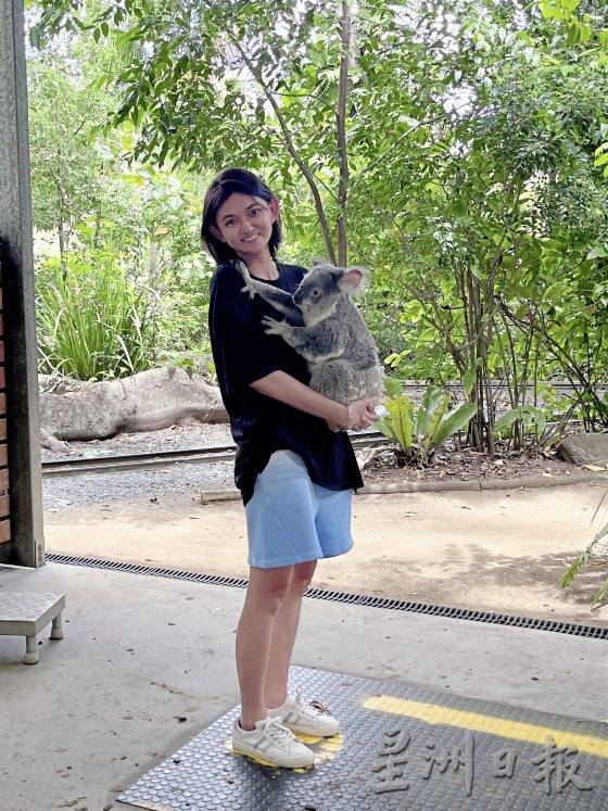 【澳洲黄金海岸】到黄金海岸内陆徒步探险，发掘雨林的秘境