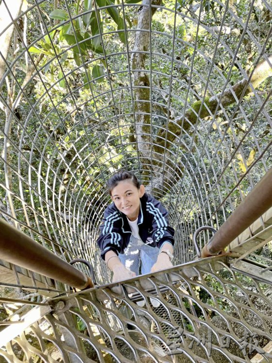 【澳洲黄金海岸】到黄金海岸内陆徒步探险，发掘雨林的秘境