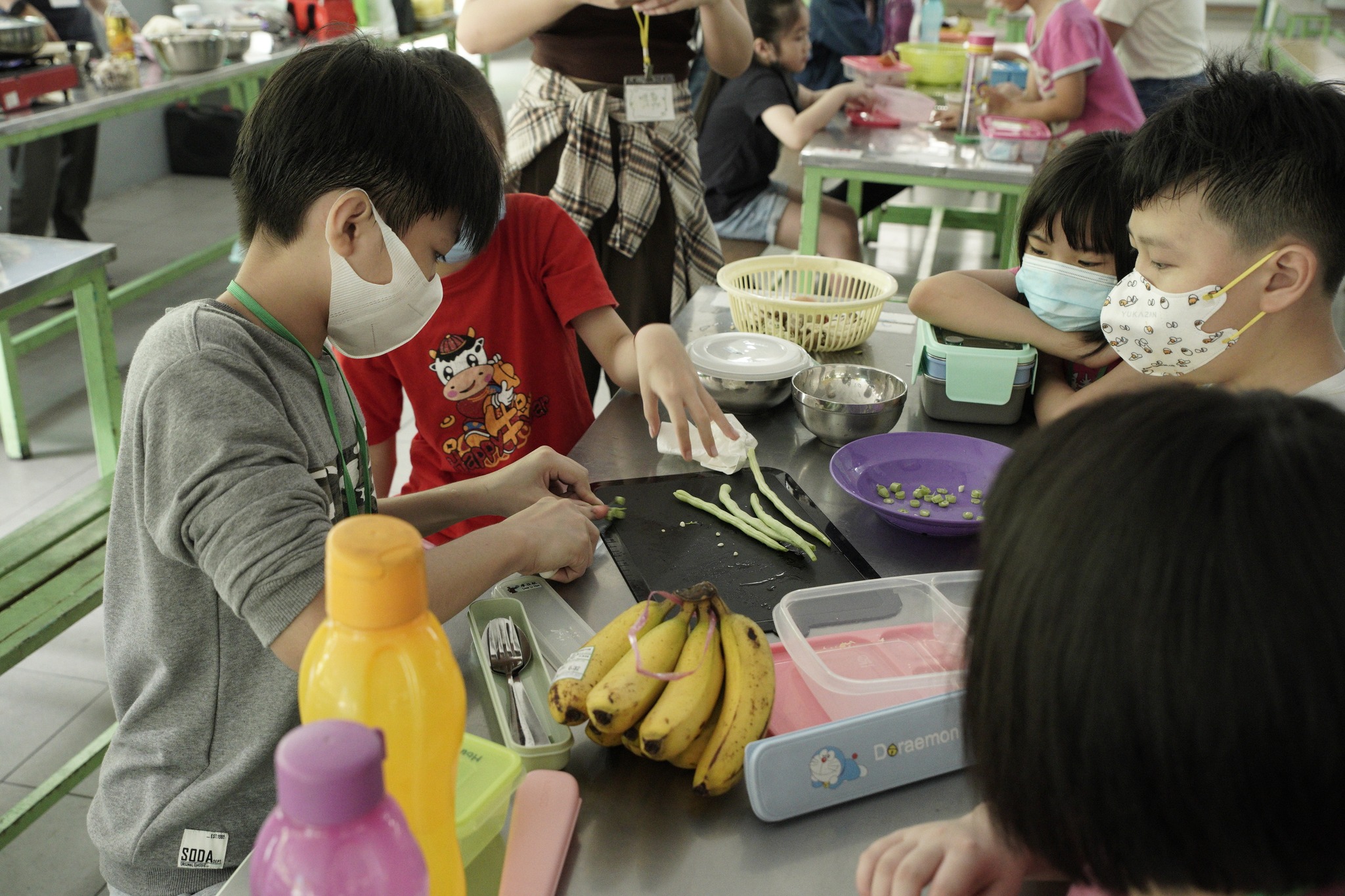 专题/完结篇/全球粮食危机-食物教育