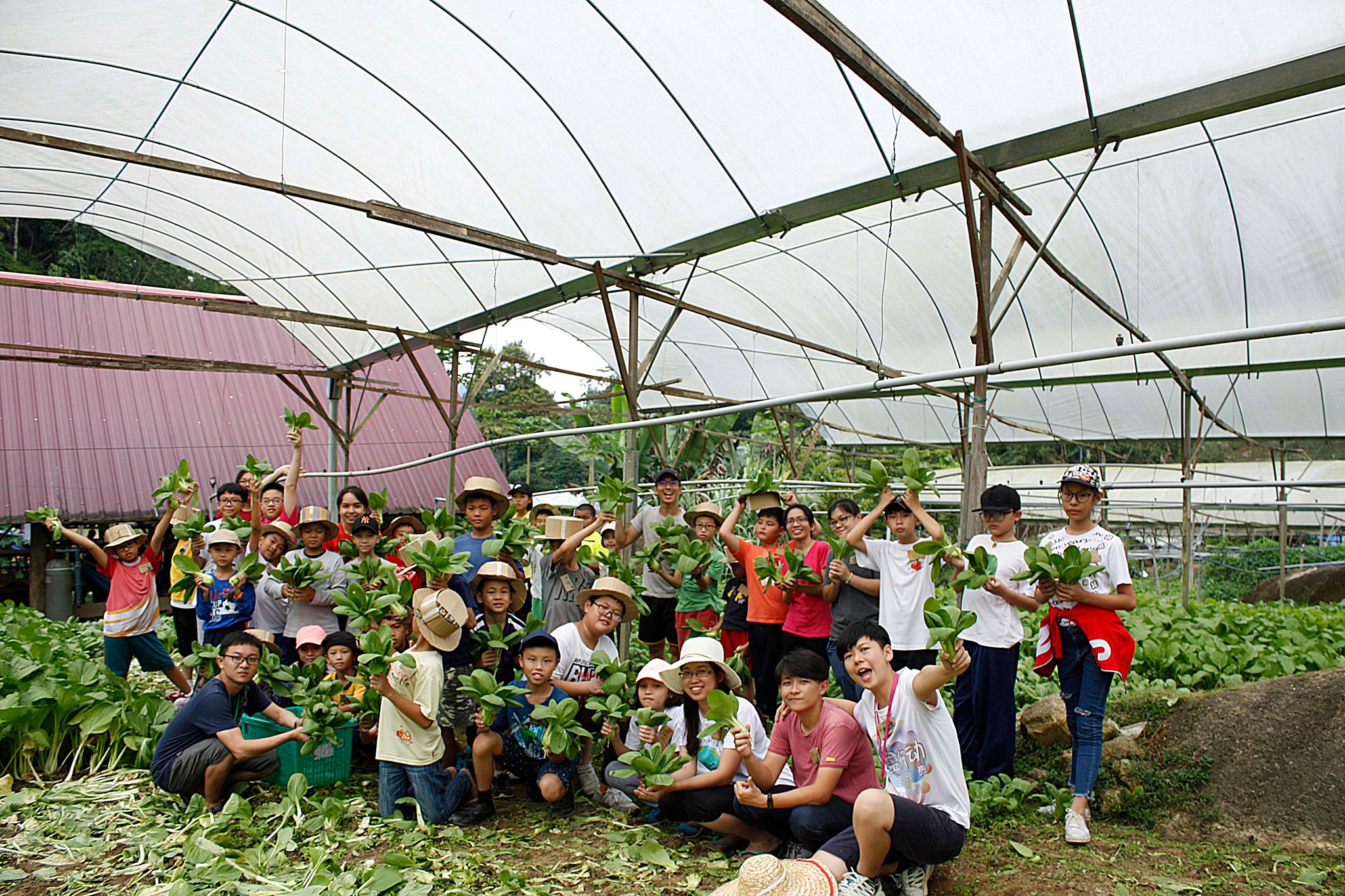 专题/完结篇/全球粮食危机-食物教育
