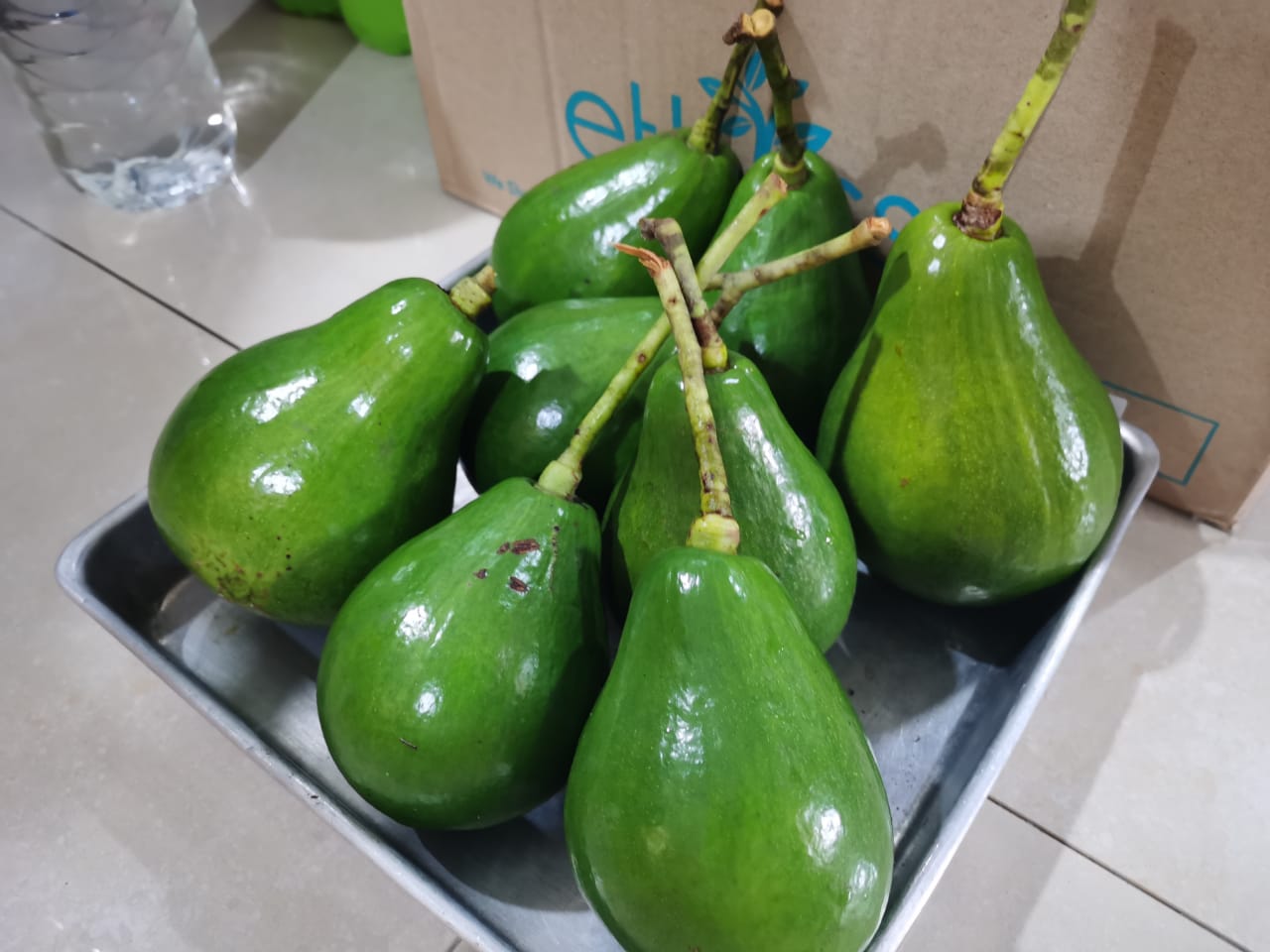 专题/完结篇/全球粮食危机-食物教育