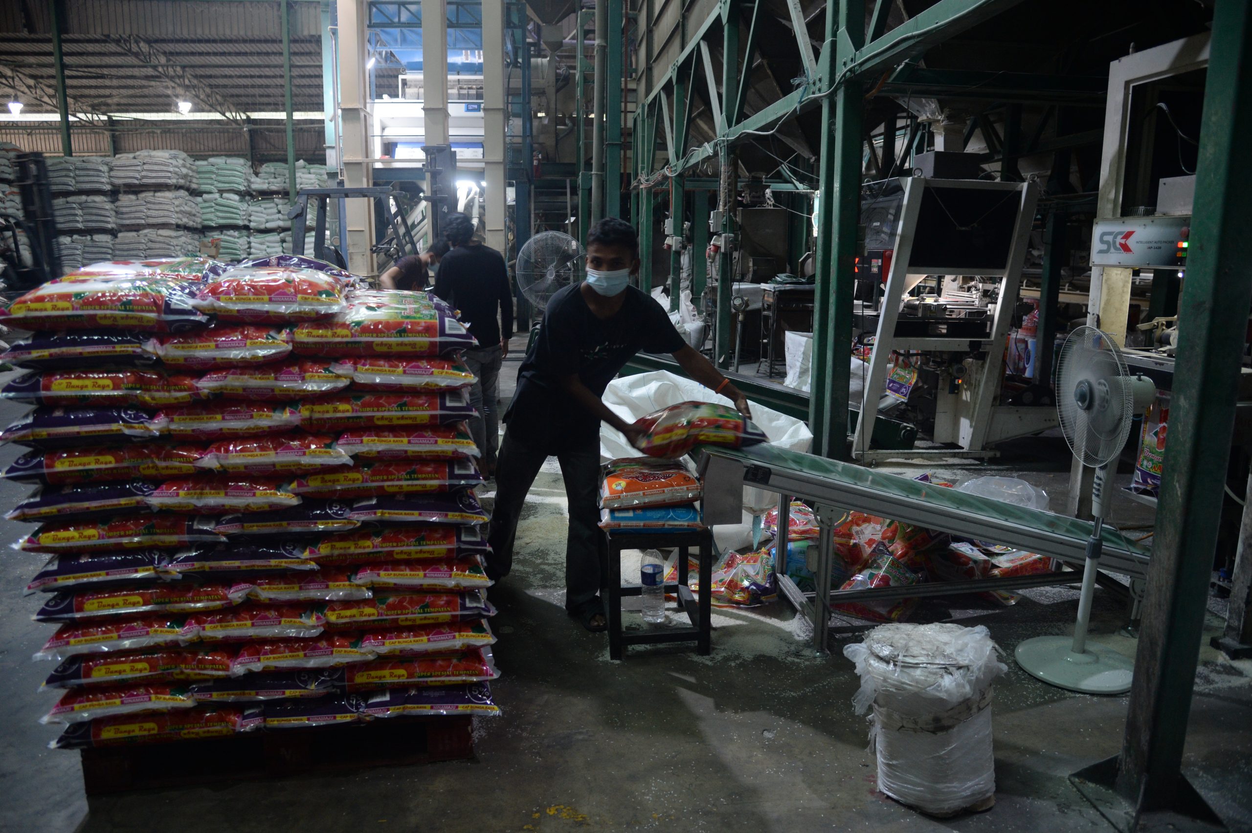 专题/第三篇/全球粮食危机-东南亚大马大米