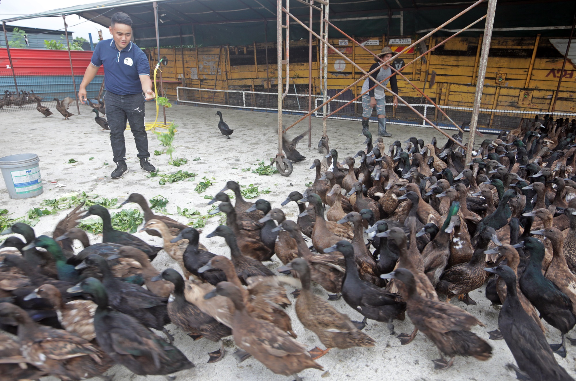 专题/第二篇/世界粮食危机-跟能源抢粮