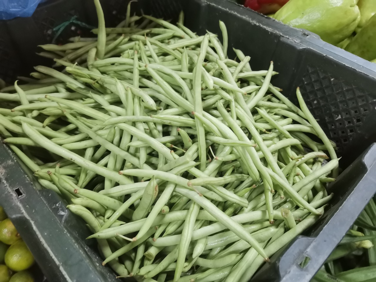 东封面:菜跌价了